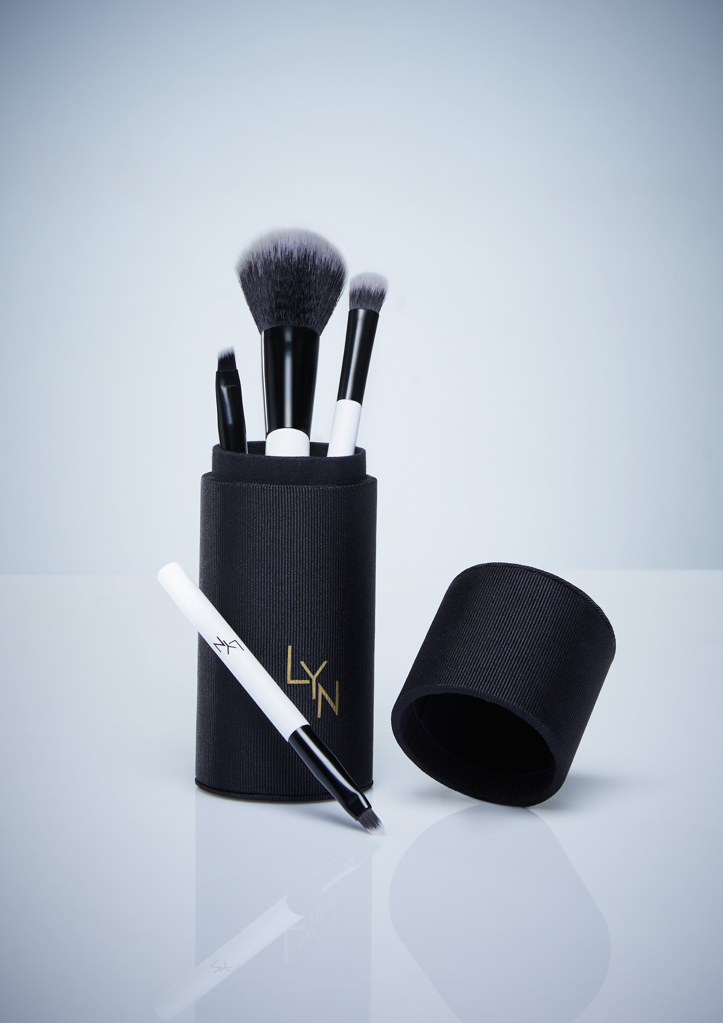 🎁 LYN BRUSH GIFT SET (100% off)