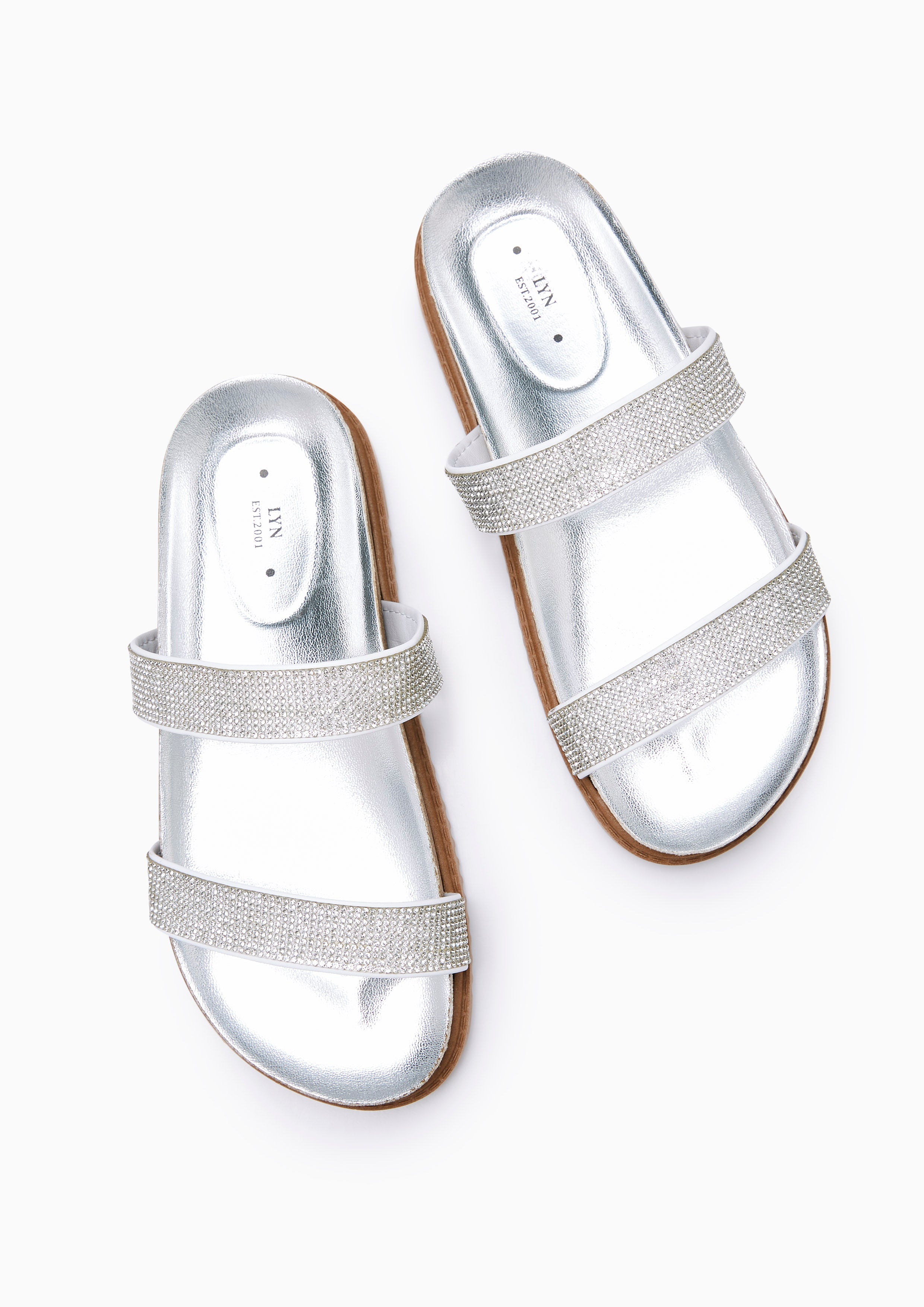 Biana Flat Sandals Silver