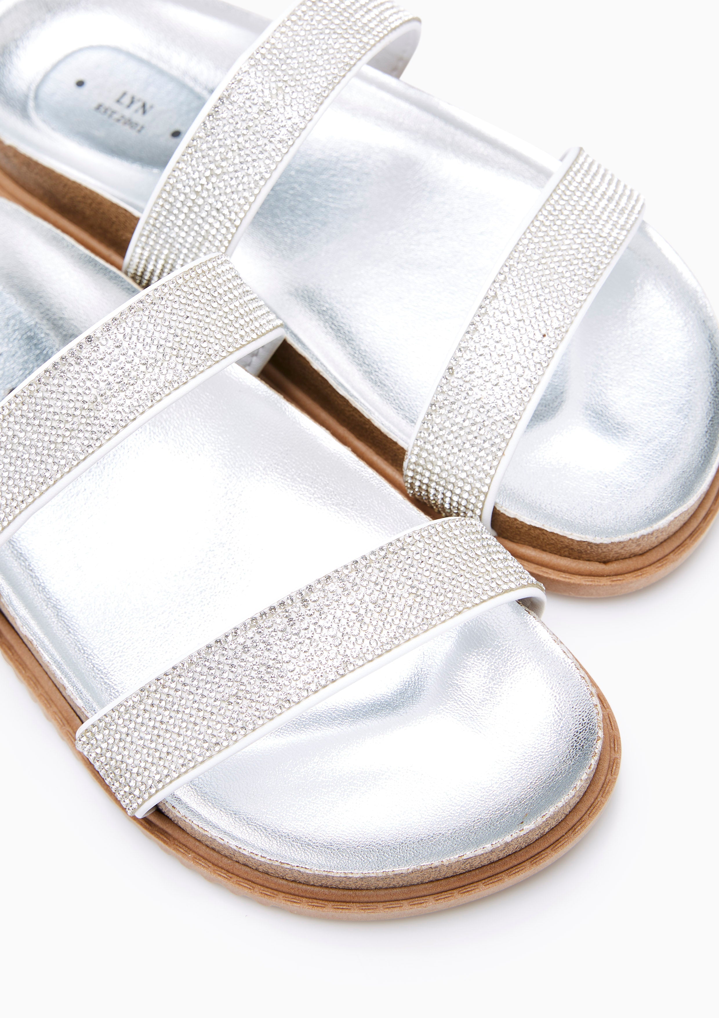 Biana Flat Sandals Silver